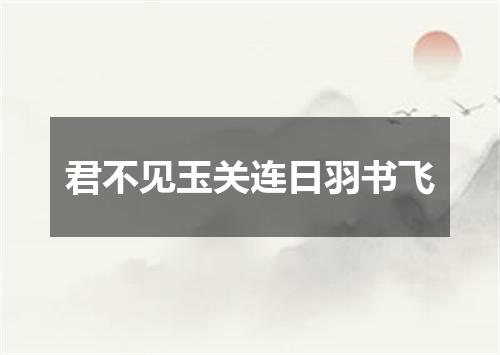 君不见玉关连日羽书飞
