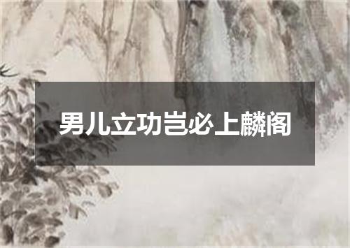 男儿立功岂必上麟阁