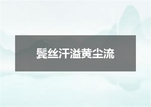 鬓丝汗溢黄尘流