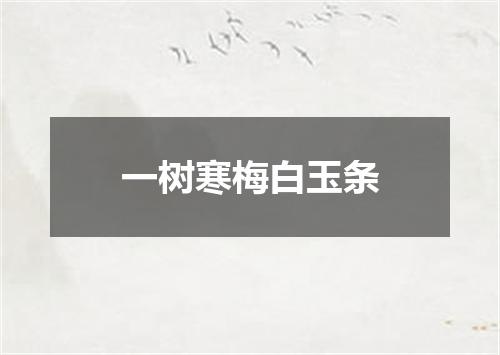 一树寒梅白玉条