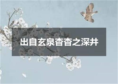 出自玄泉杳杳之深井