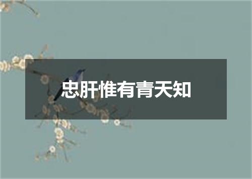 忠肝惟有青天知