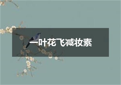 一叶花飞减妆素