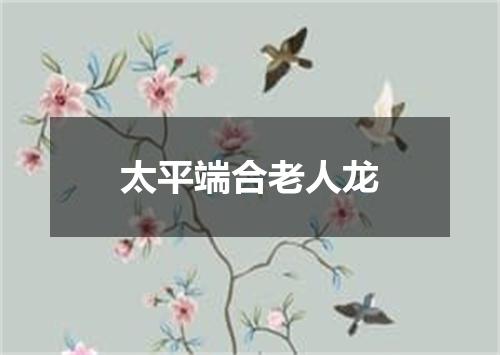 太平端合老人龙