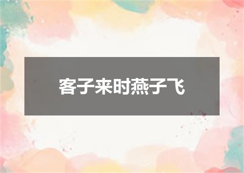 客子来时燕子飞