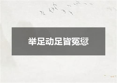 举足动足皆冤愆