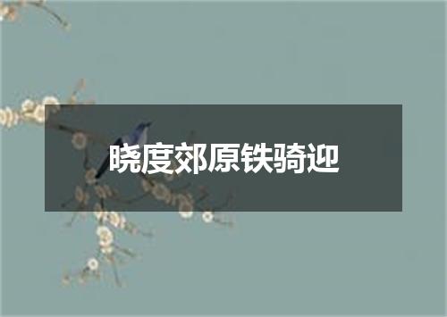晓度郊原铁骑迎