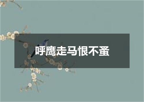 呼鹰走马恨不蚤