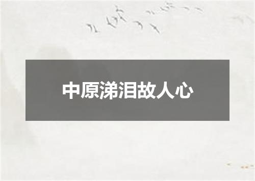 中原涕泪故人心