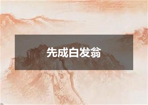 先成白发翁