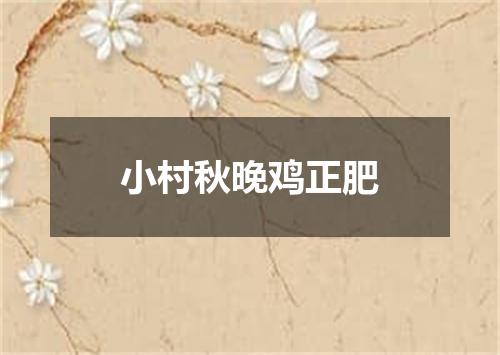 小村秋晚鸡正肥