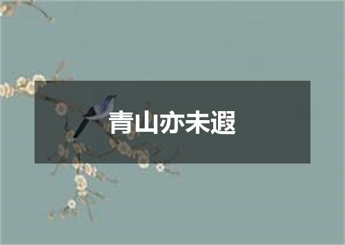 青山亦未遐