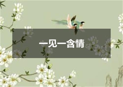 一见一含情