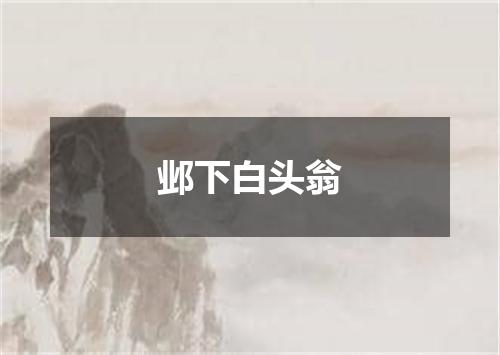 邺下白头翁