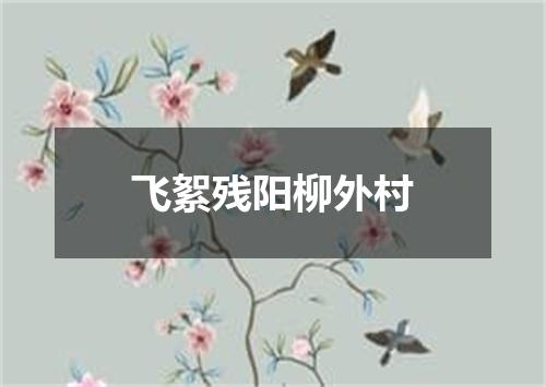 飞絮残阳柳外村