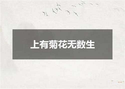 上有菊花无数生