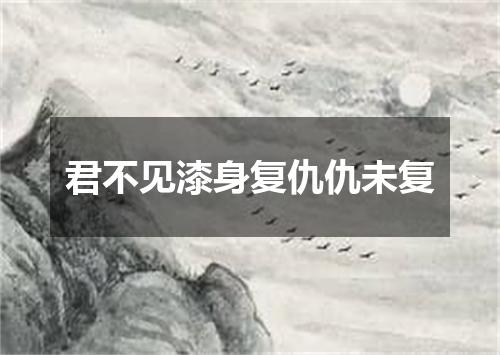 君不见漆身复仇仇未复