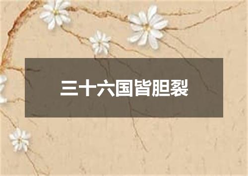 三十六国皆胆裂