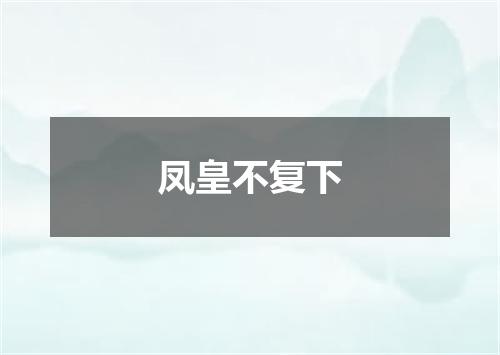 凤皇不复下