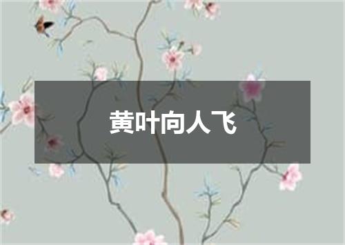 黄叶向人飞
