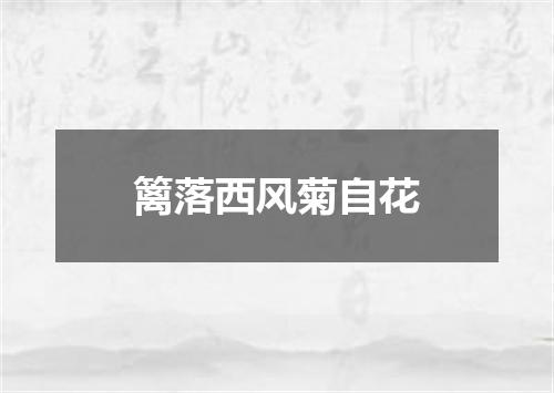 篱落西风菊自花