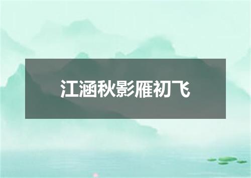 江涵秋影雁初飞
