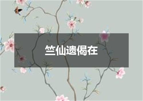 竺仙遗偈在