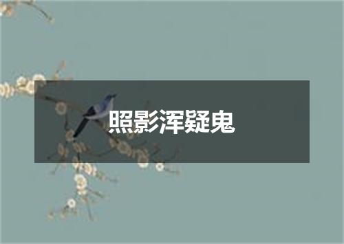 照影浑疑鬼
