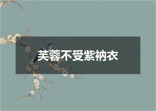 芙蓉不受紫衲衣