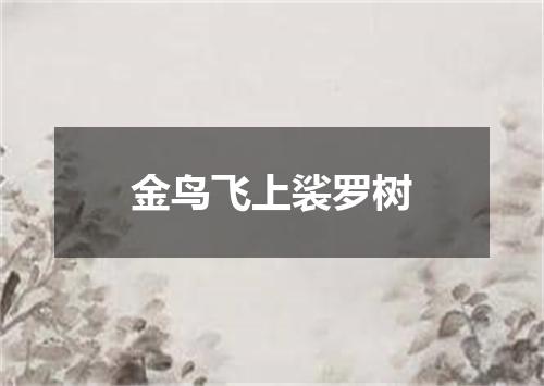 金鸟飞上裟罗树
