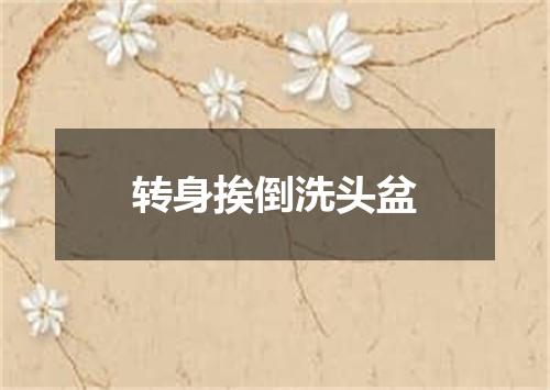 转身挨倒洗头盆