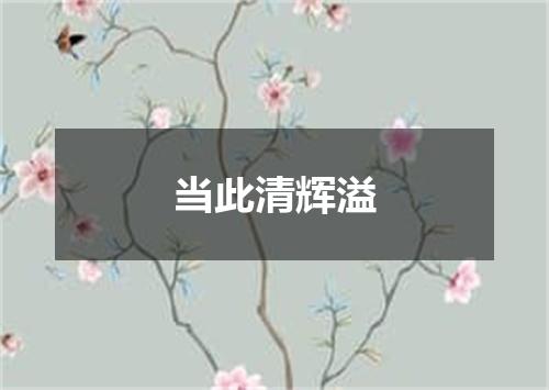 当此清辉溢