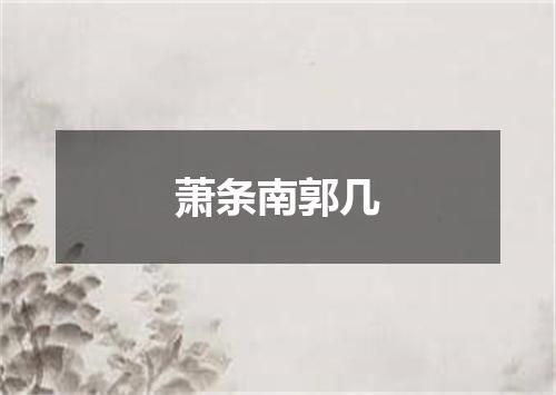 萧条南郭几