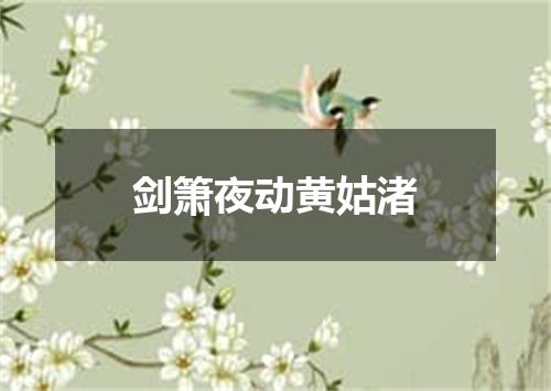剑箫夜动黄姑渚