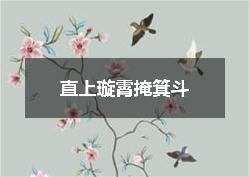 直上璇霄掩箕斗