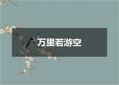 万里若游空