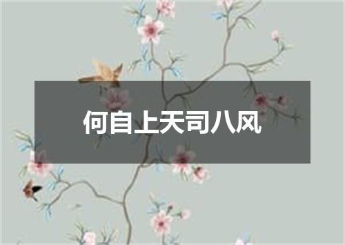 何自上天司八风