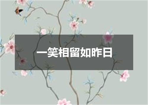 一笑相留如昨日