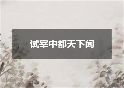 试宰中都天下闻