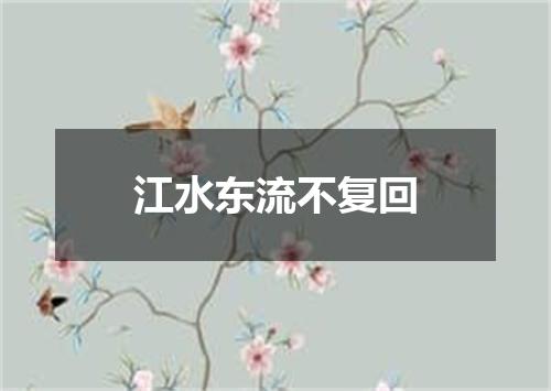 江水东流不复回