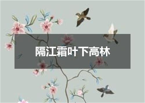 隔江霜叶下高林