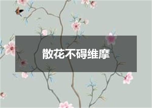 散花不碍维摩