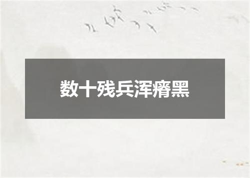 数十残兵浑瘠黑