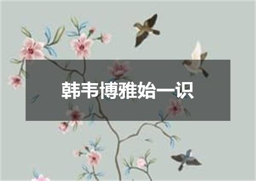 韩韦博雅始一识