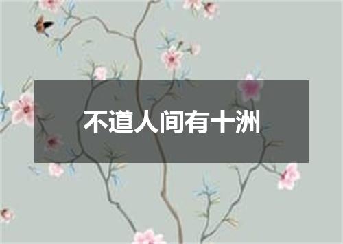 不道人间有十洲