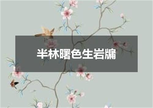 半林曙色生岩牖