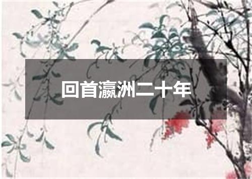 回首瀛洲二十年