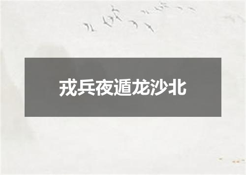 戎兵夜遁龙沙北