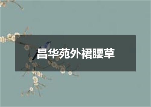 昌华苑外裙腰草