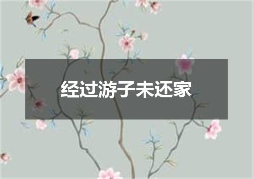 经过游子未还家